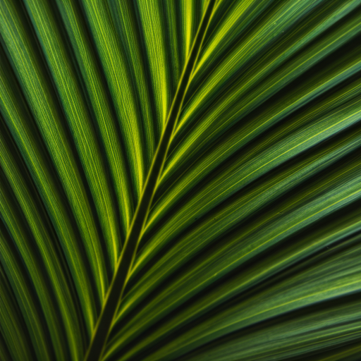 Aesthetic Foliage